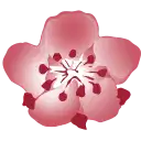 China Airlines