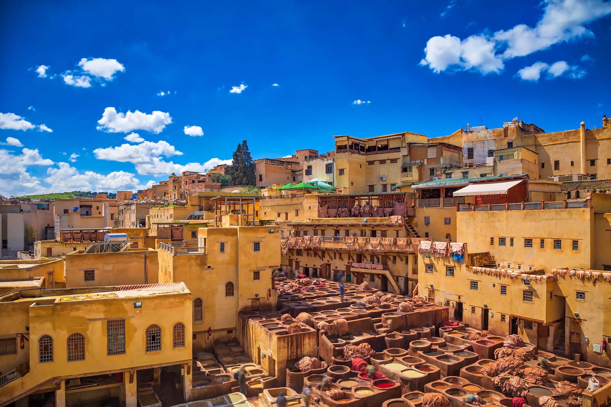 Fez